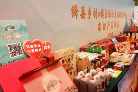 山西絳縣鄉村e鎮“絳山紅”區域公用品牌正式發布